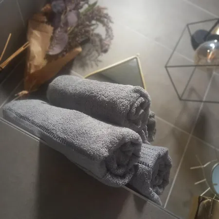 Apartment Spissky Hrad *